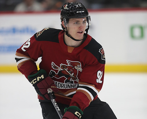 10 questions as the Arizona Coyotes open training camp - PHNX
