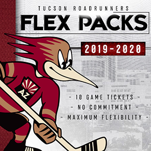 Tucson Roadrunners Hockey - Review of Tucson Convention Center