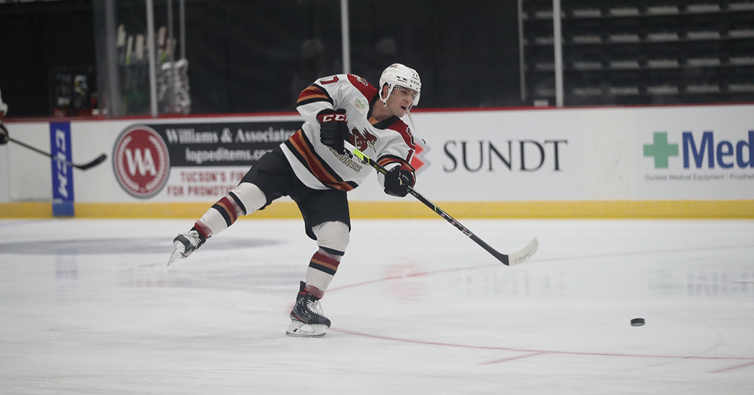 Tucson Roadrunners Road Ahead: Week Of February 22, 2021 ...