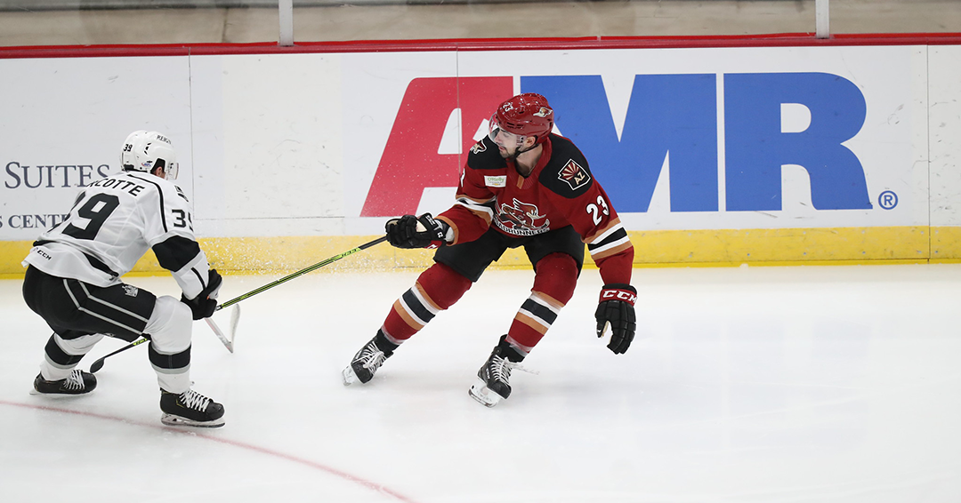 Tucson Roadrunners’ Road Ahead: Week of March 29, 2021 ...