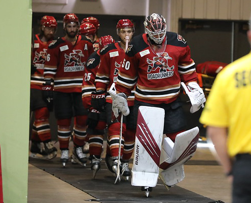 Tucson Roadrunners Road Ahead: November Concludes In California 