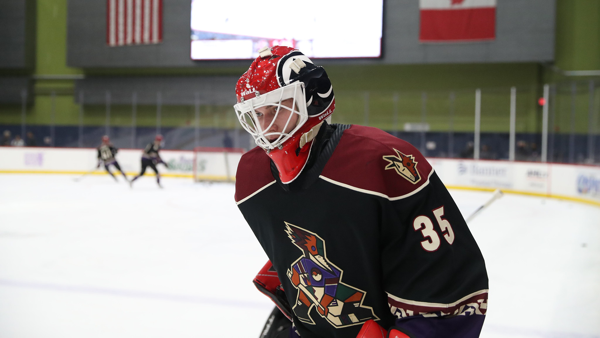 Tucson Roadrunners Road Ahead: California Conclusion ...