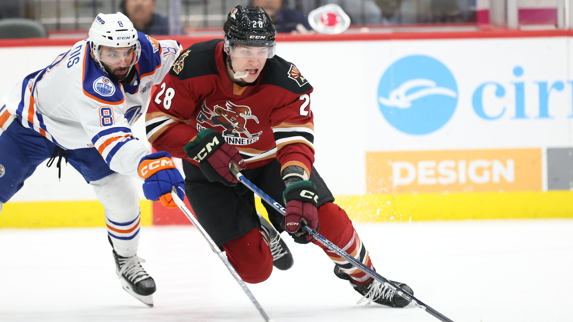 Tucson Roadrunners Road Ahead: Two New Faces Take On Tucson ...