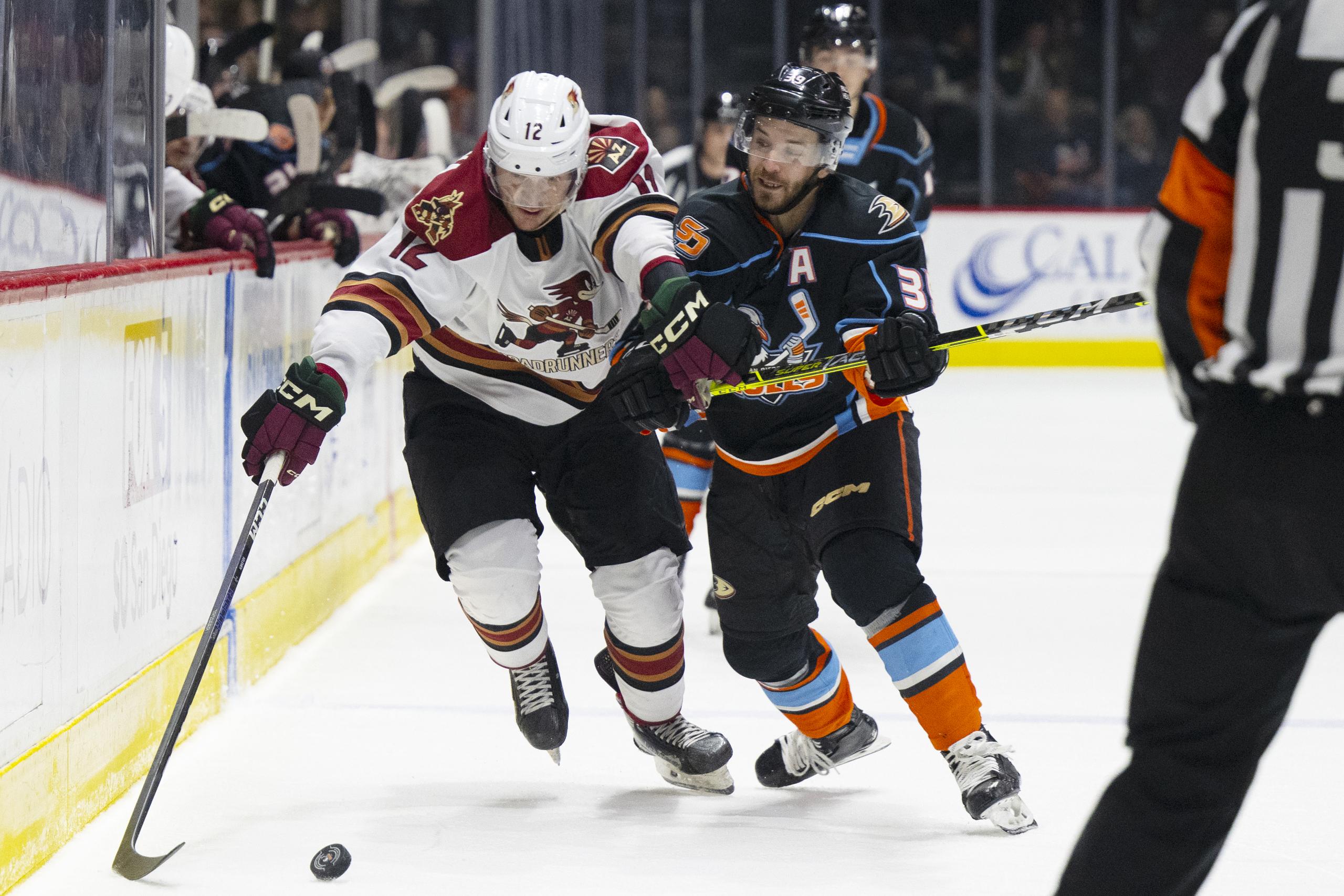 Tickets On Sale for Ducks Preseason Contest at Pechanga Arena San Diego