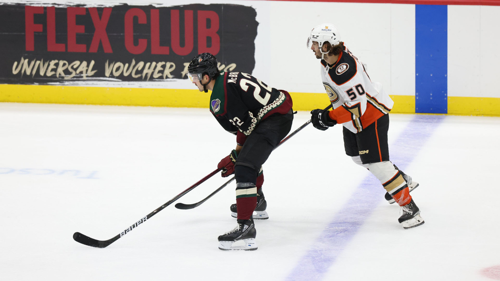 Dylan Guenther Entering Pivotal Year With Coyotes - The Hockey